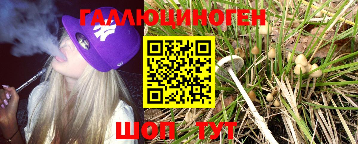 Новочебоксарск  Псилоцибиновые грибы прущие грибы  Галлюциногенные грибы Psilocybine cubensis  Вход с VPN 